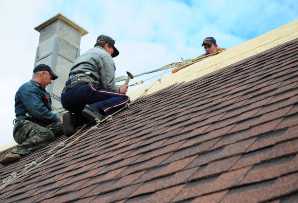 Best Roof Gutter Cleaning  in Churchville, NY